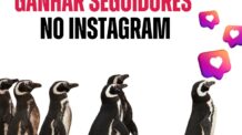 Não faça isso para ganhar seguidores no Instagram